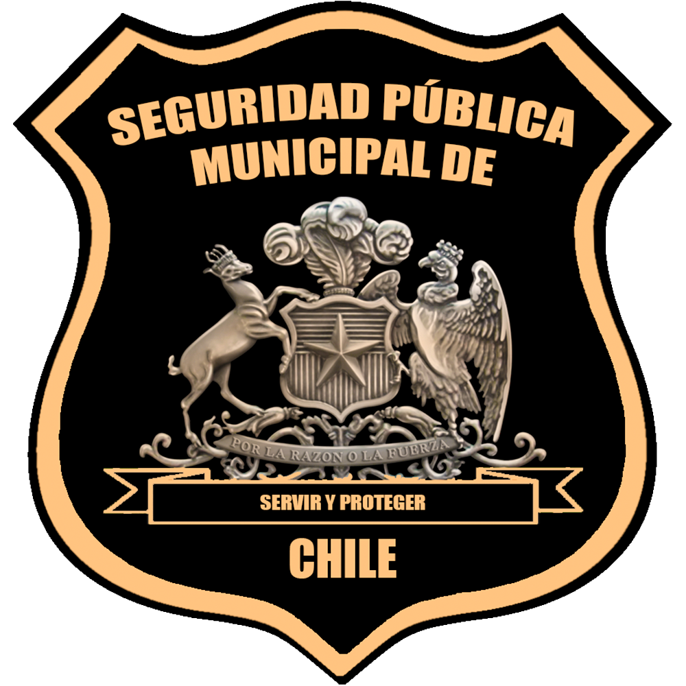 seguridad-pública-municipal-de-chile seguridad-pública-municipal-de-chile